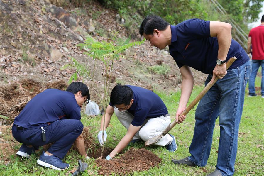 Bí thư Đảng ủy – Cục trưởng Okviphoatdong88 vô tuyến điện Lê Văn Tuấn; Chánh Văn phòng Đảng ủy – Phó Chủ tịch Công đoàn Cục Trịnh Khắc Cường và Phó Trưởng phòng, Phụ trách phòng Tổ chức cán bộ Nguyễn Trung Thành cùng tiến hành trồng cây hoa phượng
