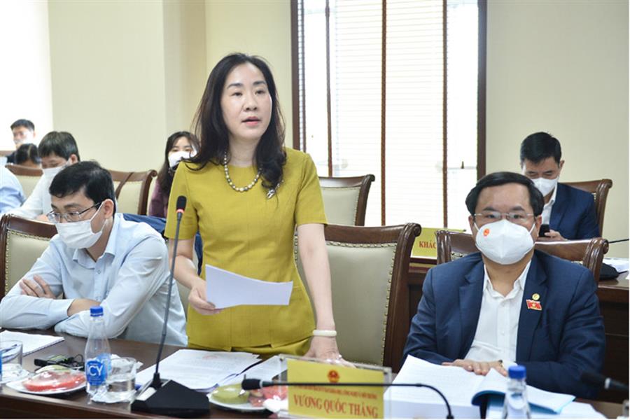 Phó Chủ nhiệm Ủy ban Kinh tế của Quốc hội Đoàn Thị Thanh Mai đóng góp ý kiến cho dự án Luật.